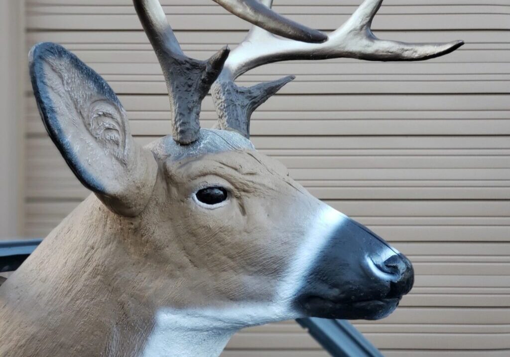 Deer head with antlers near wooden wall.